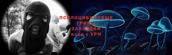 прущий лед Верея