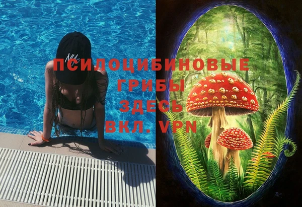 прущий лед Верея