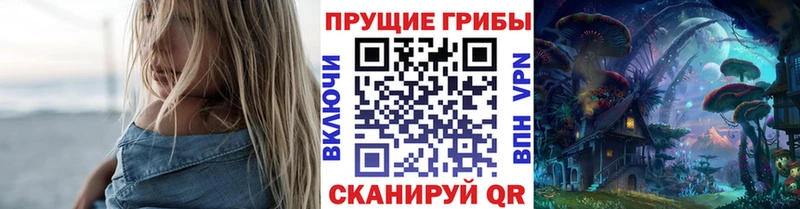 закладка  Чита  Галлюциногенные грибы MAGIC MUSHROOMS 