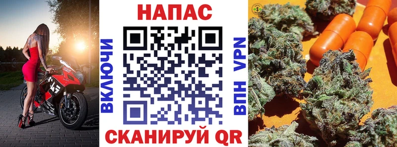 Бошки Шишки планчик  даркнет сайт  Чита 